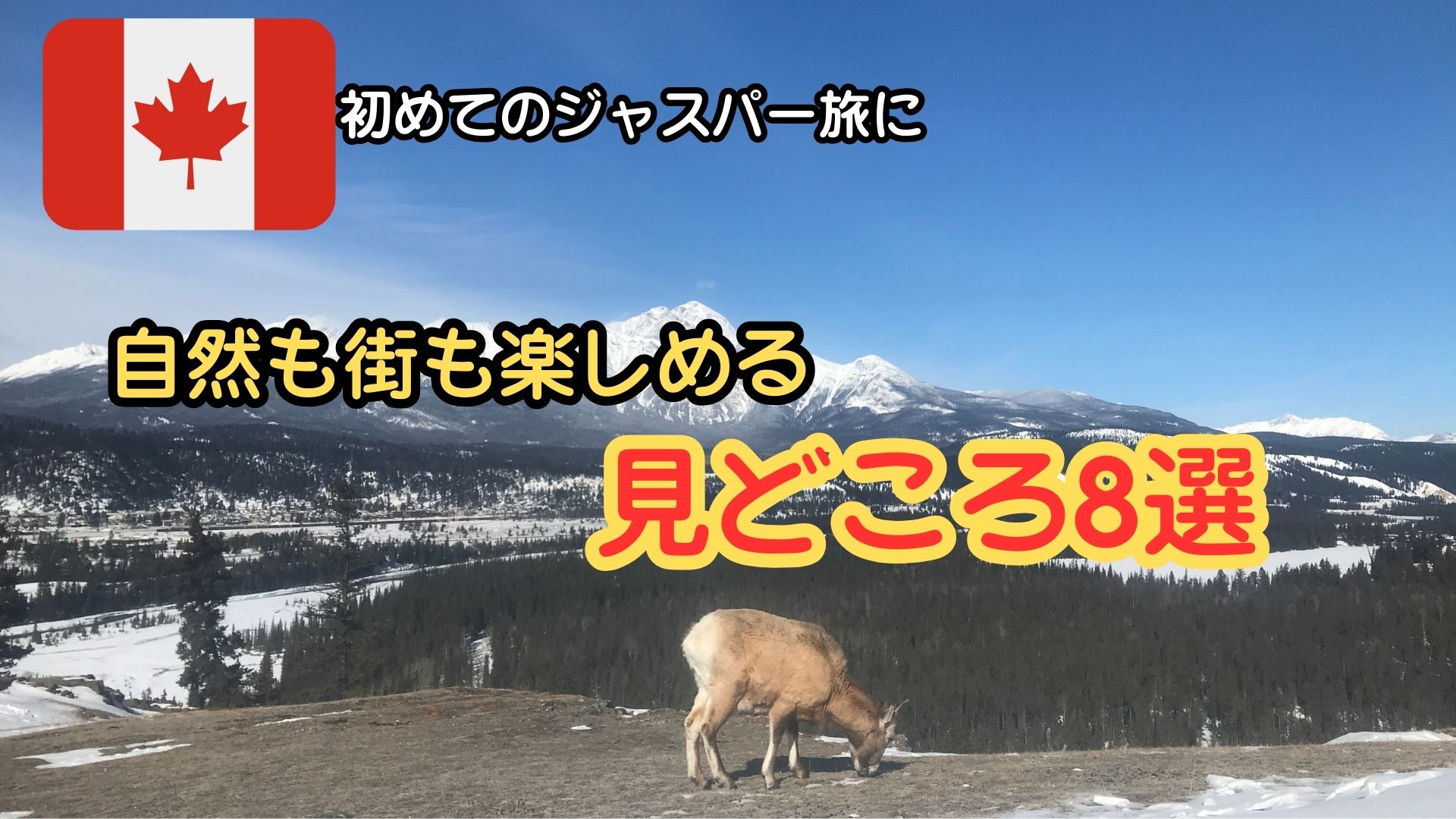 ジャスパーの山頂からの景色とヤギ
