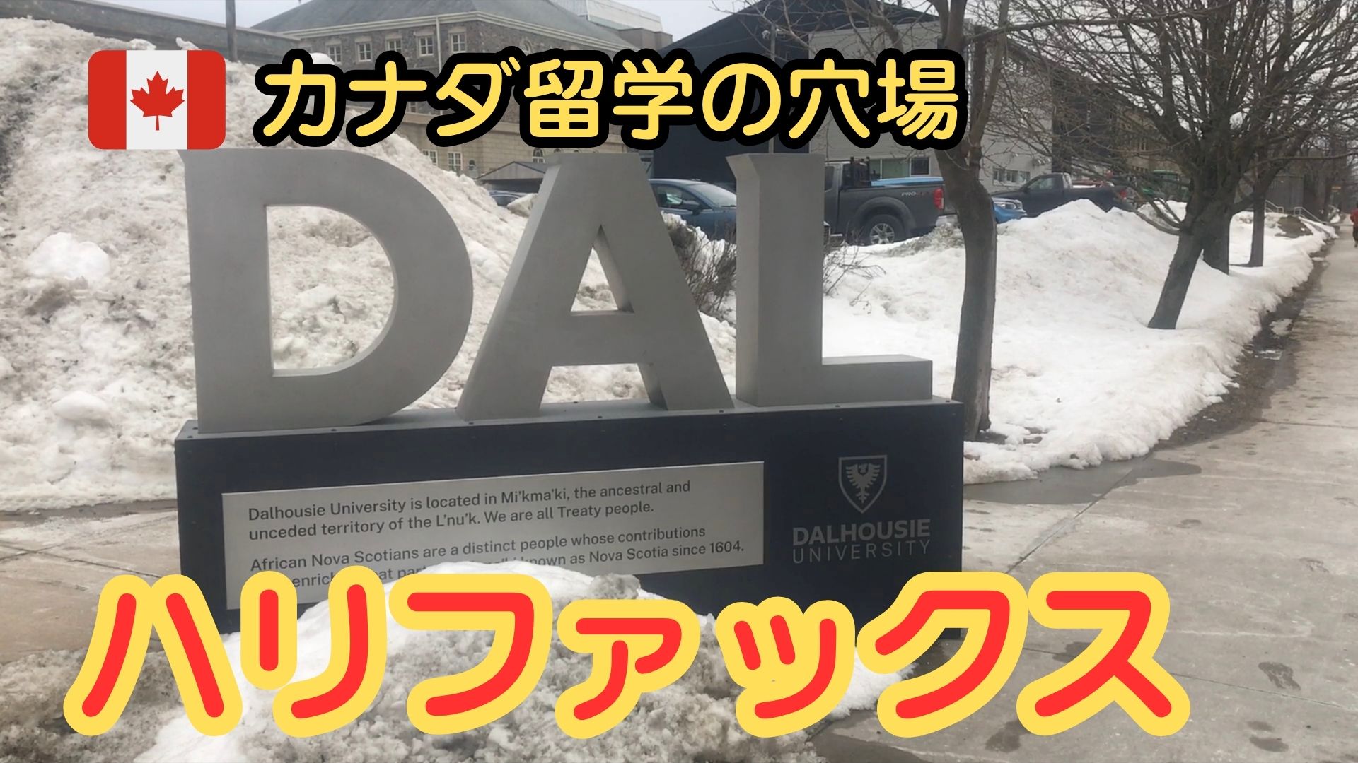 ダルハウジー大学の写真 dalhousie university